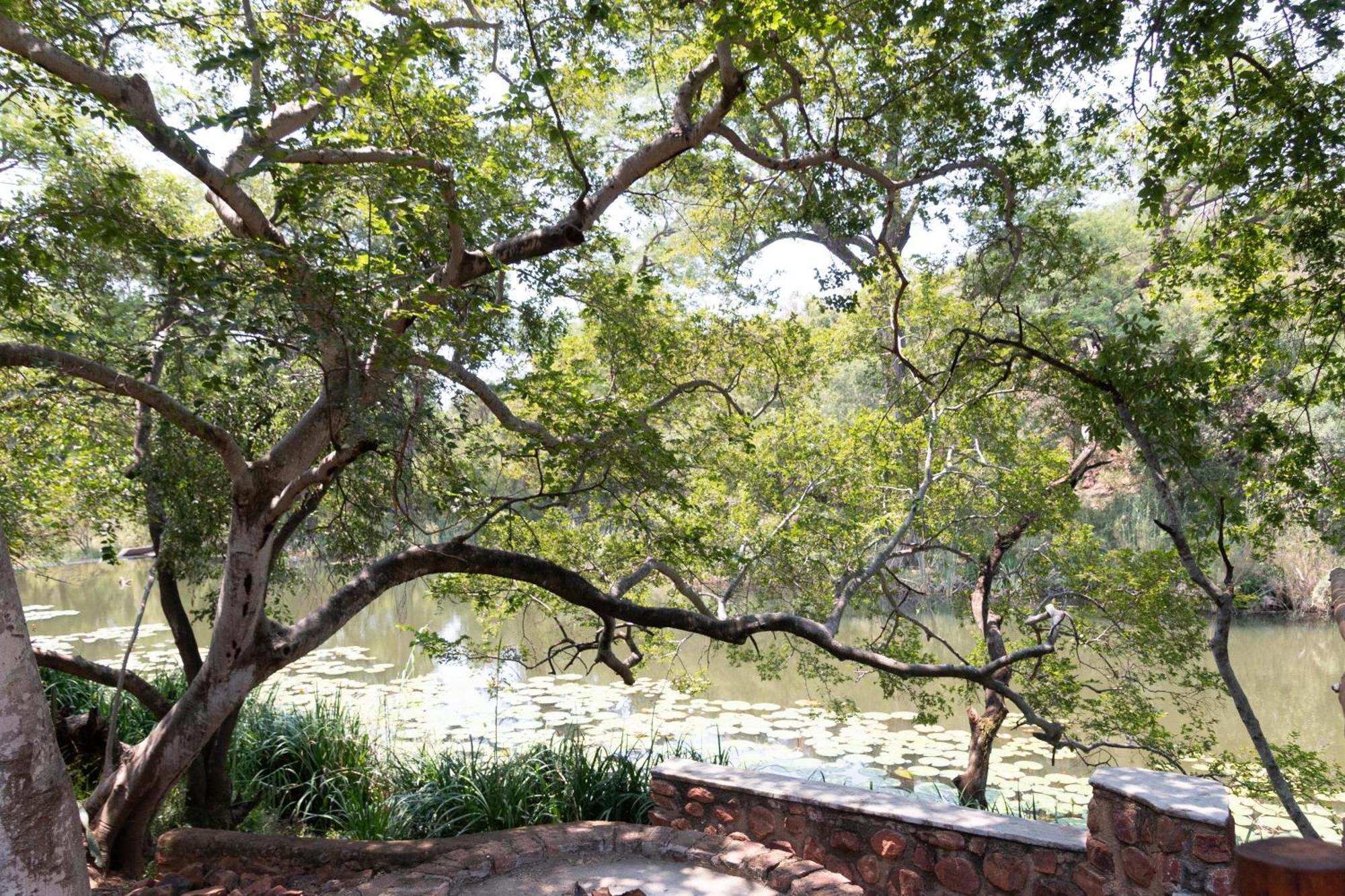 Mologa River Lodge Rust de Winter المظهر الخارجي الصورة