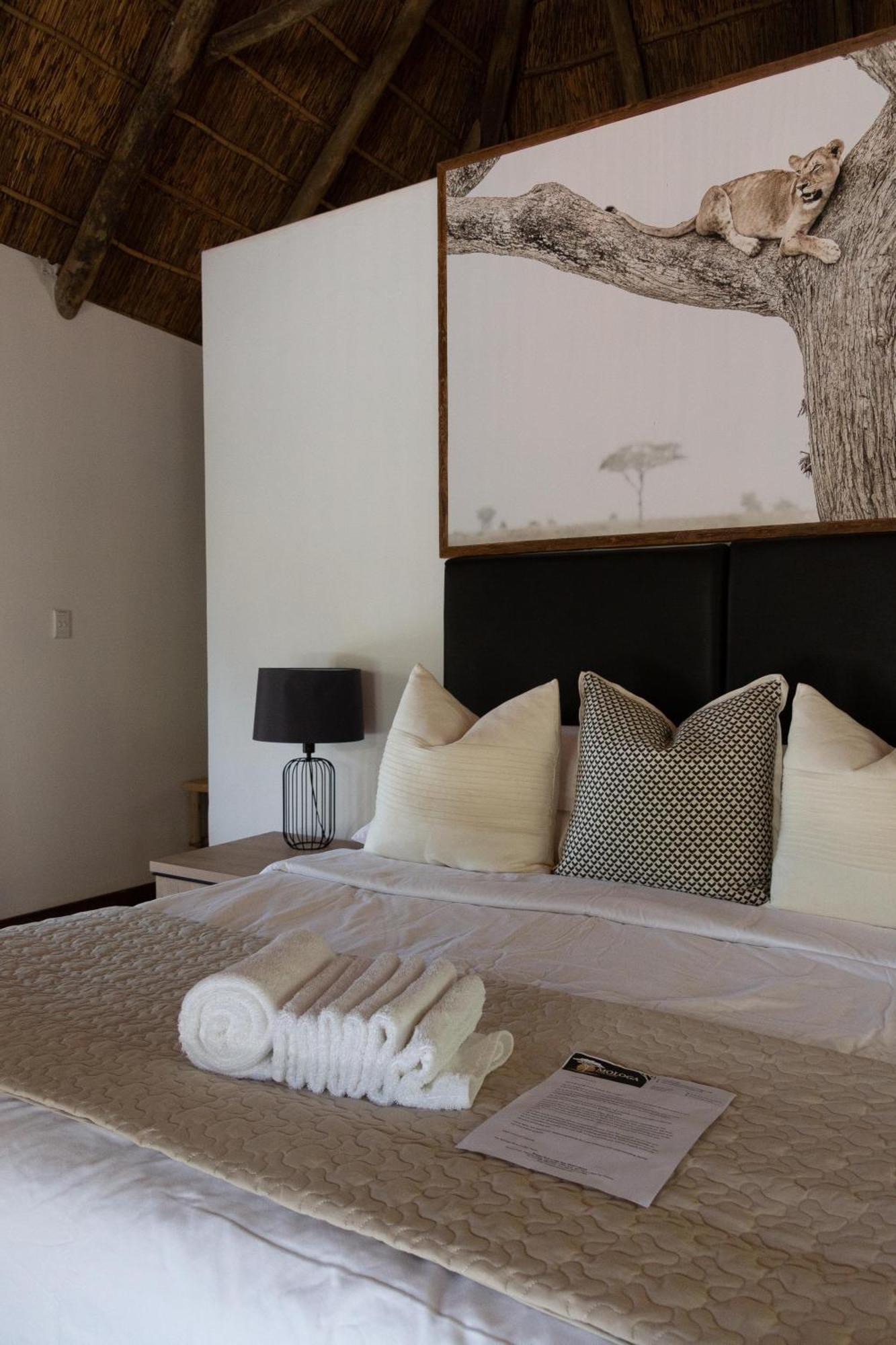 Mologa River Lodge Rust de Winter المظهر الخارجي الصورة