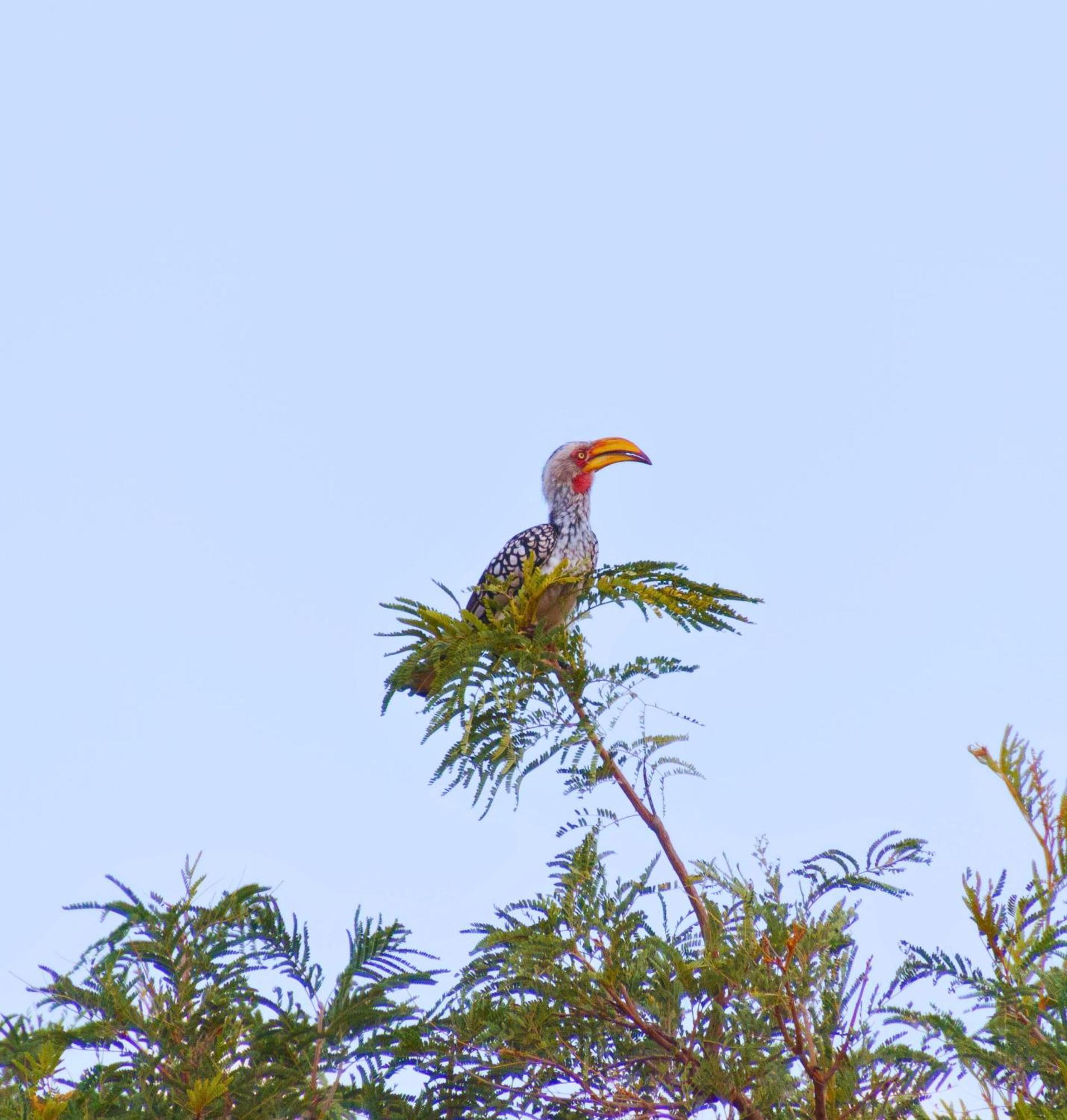 Mologa River Lodge Rust de Winter المظهر الخارجي الصورة