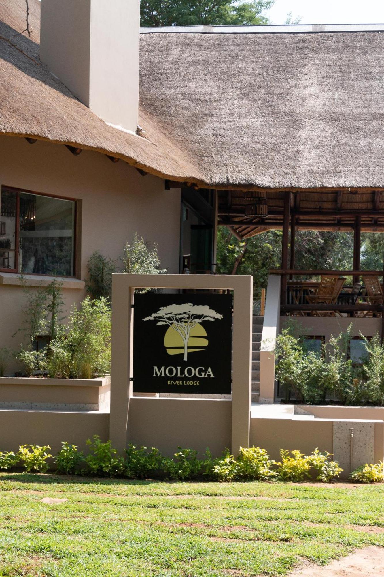 Mologa River Lodge Rust de Winter المظهر الخارجي الصورة
