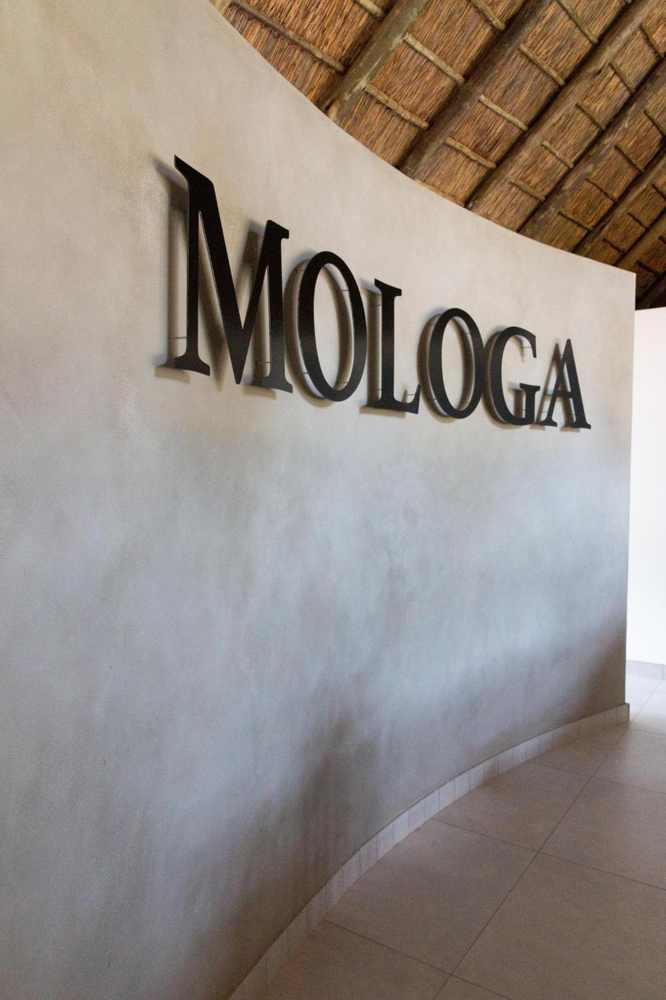 Mologa River Lodge Rust de Winter المظهر الخارجي الصورة